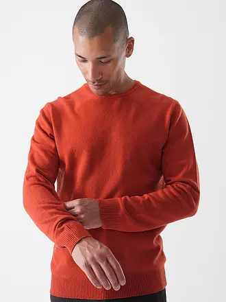 DANIELE FIESOLI | Pullover | rot
